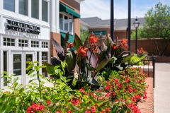 Worthington_Dental_MES-20