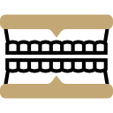 Dentures icon